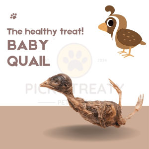 Premium Freeze-Dried Whole Quail Treats for Cats - High Protein Dental Health Snack