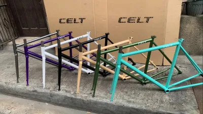 Celt 700c steel fraemset fixie frameset frame fork color frame customized frame max 28c