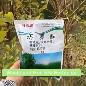SCCS~Fast-Acting Tree & Bamboo Killer Powder Hexazinone Herbicide 500g Kill Weed Root Quick Result