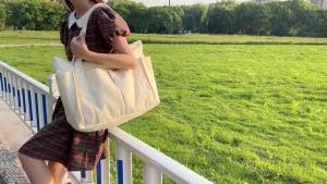 Canvas bags exported to Japan tote bags Tote Handbag shoulder bag beach bag cloth bag large-capacity bag for women
