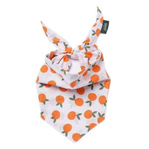 The Paws Dog Bandana | 100% Cotton Tie-On Pet Scarf | Handmade Washable Fun Prints & Florals