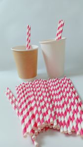 Hộp 250 Ống Hút Giấy Phi 6 Biogreen 3 lớp kích thước 6 x 197mm màu trắng nâu kraft Giáng Sinh Noel Lễ Tết