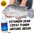 Vitamin Ikan Nila Biar Cepat Besar/Vitamin Meningkatkan Nafsu Ikan Untuk Penggemukan Ikan Nila. 