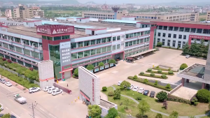 Practical 24V 250W Brushed Motor Speed Controllers Accessory for Electric Tricycles Scooters Bicycles Daily Use