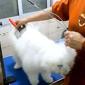 Professional Rechargeable Pet Cat Dog Hair Razor Trimmer Grooming Kit Electrical Clipper Shaver Set