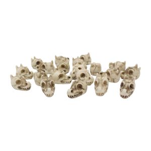 XIAHU 20PCS Resin Halloween Skull Figurine White Lightweight Miniature Dragon Skull Figurine Charming Micro Landscape Mini Skull Figurine Home Decoration