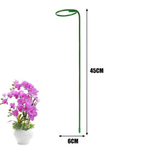 Dizoey 10PCS Plant Support Frame Garden Plant Stake Cage Flower Stand Single Stem Shrub Holder Garden Stand for Rose Peonie Lilie Tall Flower