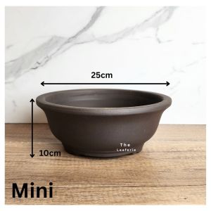 The Leaferie Bonsai Pot / Tray (Series 37) 2 Sizes big Plant pot . Zisha . Flowerpot . Purple Sand Planter. Flower pots
