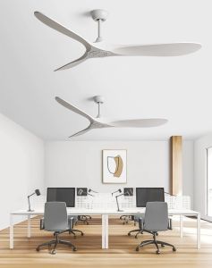CHNT Ceiling Fan With Remote Control Modern Home Living Room Dining Room Bedroom Patio DC Mute Fan