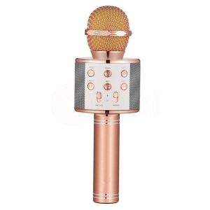 Micrô Không dây KTV Karaoke Gia đình KTV Hội nghị Microphone Bluetooth Microphone