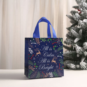 Christmas Non Woven Fabric Recycle Bag Gift Bags Packaging