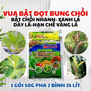VUA BẬT ĐỌT - BUNG CHỒI - PHỤC HỒI CÂY SUY YẾU - XANH LÁ DÀY LÁ GÓI 50GR - PHÂN BÓN LÁ
