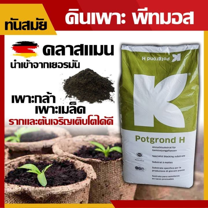 8 อันดับพีทมอส ยี่ห้อไหนดี? อัปเดตปี 2025 สำหรับเพาะกล้าและปลูกต้นไม้