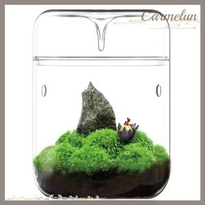 [Carmelun] Chai thủy tinh sáng tạo sương bộ sưu tập Bình thủy tinh vi cảnh quan mọng nước rêu cảnh quan kính hồ cạn trang trí nhà