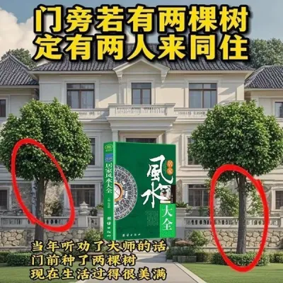 Authentic modern residential feng shui book complete collection of Yangzhai illustrations 正版现代住宅风水书阳宅大全图解入门中国住宅风水学清晰全书