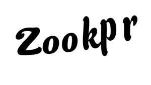 Zookpr Fuel Filter Wrench for HarleyFuel Pump Removal Tool2008-Up Touring