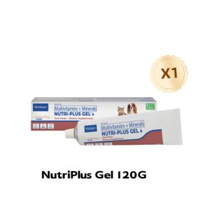 CARTY Virbac NutriPlus Gel for Cats and Dogs 120g Nutrient Booster Supports Nutritional Supplement Pet Health and Vitality