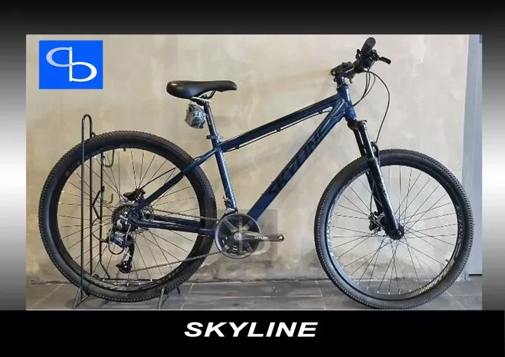 Skyline roller clearance 27.5