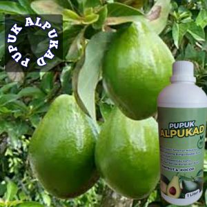 Pupuk Alpukad Booster Pelebat Perangsang Pecegah Hama Pupuk Alami Ramah Lingkungan