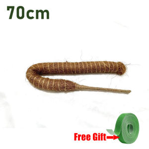 YESPERY 70/100/120cm Plant Climbing Frame Vine Coconut Palm Rod Can Be Bent and Shaped Moss Rod Stretching Plants Climbing Poles Plant Growth