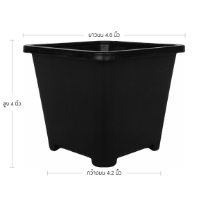 กระถาง กระถางแคคตัส กระถางสี่เหลี่ยม ขอบหนา ขนาด 5 4.6 นิ้ว สีดำ 10 ใบ ชิ้น อัน