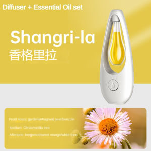 2025 Rechargeable Home Aroma Diffuser Air Freshener Spray Diffuser Essential Oil Diffuser Home Diffusers Toilet Fragrance Hotel Humidifier