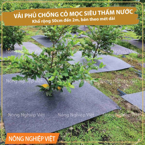 Combo 5 - 10 - 20 tấm vải địa chống cỏ mọc 2m x 2m (tặng kèm 5 ghim/tấm) - tấm che gốc cây chống cỏ mọc siêu thấm nước