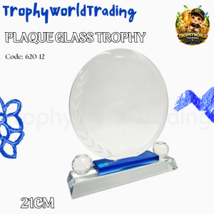 Plaque Glass Trophy Height: 21CM Customize Available-(620-12)