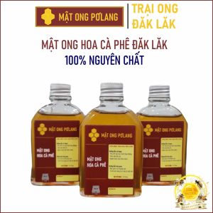 Mật Ong Nguyên Chất ĐĂK LĂK ( 300gr ) - Mật Ong Hoa Cà Phê