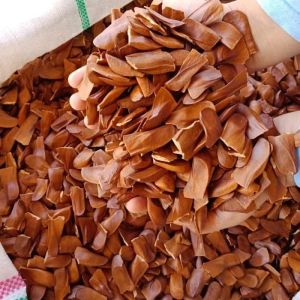 Biji Kayu Mahoni / Mauni 1kg Kualitas Unggul