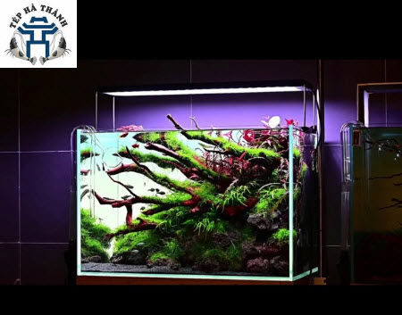 %5BHo%C3%A0n%20Ti%E1%BB%81n%2010%25%5D%20%C4%90%C3%A8n%20LED%20Cao%20C%E1%BA%A5p%20Chihiros%20WRGB%202%2090cm%20-%20Image%204