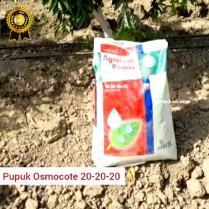 osmocote 20-20-20 dekastar 100g pupuk osmocote 14-14-14 pupuk dekastar 23-10-19 pupuk import pupuk thailand pupuk belanda pupuk japan pupuk tanaman hias pupuk slow release pupuk sr pupuk aglonema pupuk bonsai pupuk anggrek
