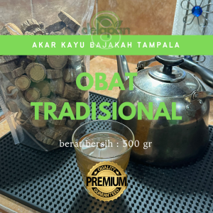 Akar Kayu Bajakah Obat Kanker asli Kalimantan / Akar Bajakah Tampala