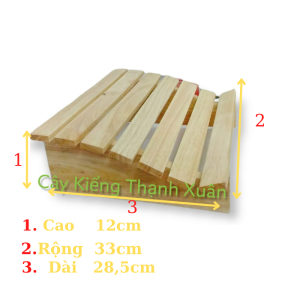 Ghế Gỗ Kê Chân Văn Phòng Thoải Mái Ghế Gác Chân Dễ Chịu Cây Kiểng Thạnh Xuân