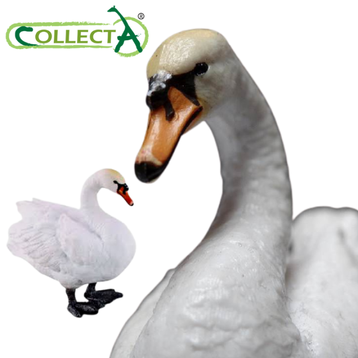 コレクタ　88211　コブハクチョウ　Mute Swan CollectA Mute Swan #88211 - Vibrant White Farm Bird