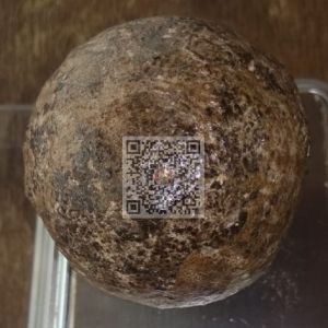 Authentic Porcupine Dates【100%天然正宗豪猪枣、箭猪枣 】豪猪枣/箭猪枣/特级粉枣对一些病症有很明显的附加药用功效：  ✅ 化解癌症电疗化疗副作用  ✅ 预防手术后细菌感染 镇痛消炎  ✅ 提升身体免疫力 加速复原  ✅ 有助蚊症病患者提升血小板  ✅ 舒解糖尿病加速愈合伤口  ✅ 舒解肝病 快速清热解化脓消炎  ✅ 产前后可减轻疼痛，加速复原  ✅各种炎症，皮肤病，恶疮，胃痛，肿瘤，心血管硬化，祛风，心气痛，女性白带，分娩，保健和红斑狼疮等都有一定的功效。