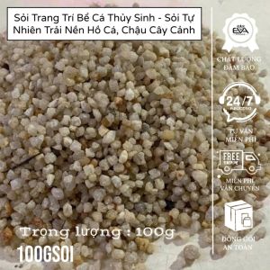 1 Kg Sỏi Suối Ba Màu Tự Nhiên Trang Trí Bể Cá - Hồ Cá - Chậu Thuỷ Sinh Cây Cảnh