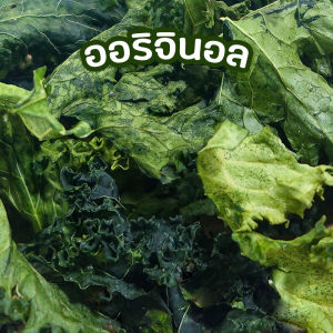 [ผักเคล] เคลอบกรอบ Crispy Kale พิเศษเพิ่มปริมาณ!! ออร์แกนิค ไขมันต่ำ กรอบอร่อย ขนม ของกิน ขนมกินเล่น snackies