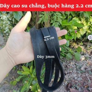 Dây Cao Su Chằng Buộc Hàng - Bản Rộng 2.2 cm Dày 3mm Co Giãn Cực Tốt.