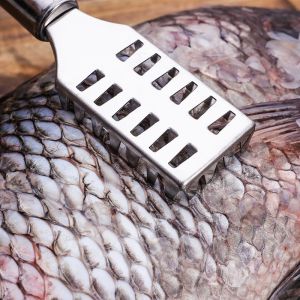 Dụng cụ cạo đánh vảy cá inox - Dụng cụ đánh vẩy cá cây cạo lóc vẩy cá