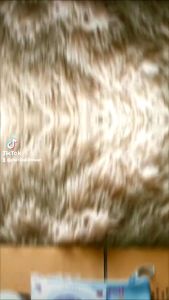 เลดี้ไนท์ครีม 🛍️มีของแถมทุกกล่อง🛍️