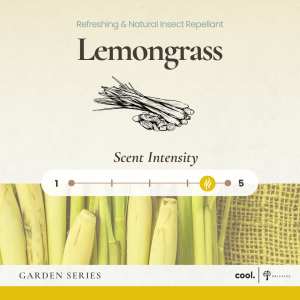 Pristine Home Scent Refill | Garden Series | Essential Oil | 180ml | Natural Floral Fragrance Refill