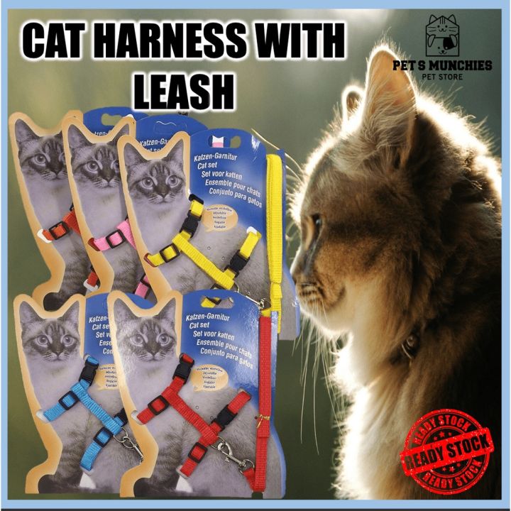 Cat accessories lazada hotsell