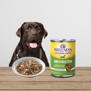 【Pet Mates】Wellness Complete Health - Stew Chunky Wet Canned Dog Food 12.5oz (354g)