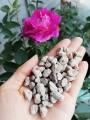 Đá Pumice ( Đá bọt đá núi lửa) gói 1kg dùng trộn giá thể trồng cây giúp giữ ẩm tốt, thoáng rễ, nhẹ. 