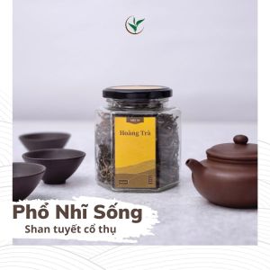 Hũ Trà Phổ Nhĩ Rời Shan Tuyết Cổ Thụ Hà Giang Vụ Xuân Trà Hảo Hạng Thiện Tài 1 tôm 1 lá Lọ Thủy Tinh 70g Quà Tặng