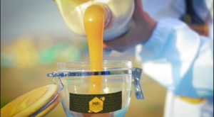 Jaujab Yemeni Sidr Doani Honey a Grade 500 Grams