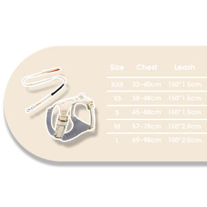 HamshMoc Pet Walking Set Reflective Straps Elastic Webbing Rotating Clip Outdoor Safety