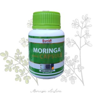 Moringa Capsules Plus Stevia Buah Kelur 400mg 60 / 100 Biji KKM Approved