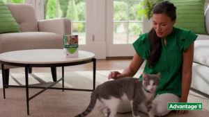 ORIGINAL Advantage Flea Prevention Treatment Small Cats Ubat Kutu Kucing Anjing 宠物猫除蚤滴液 VML